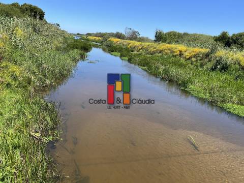 Terreno Urbano T3 Venda em Praia de Mira,Mira