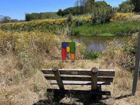 Terreno Urbano T3 Venda em Praia de Mira,Mira