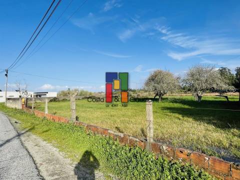 Terreno Urbano  Venda em Mira,Mira