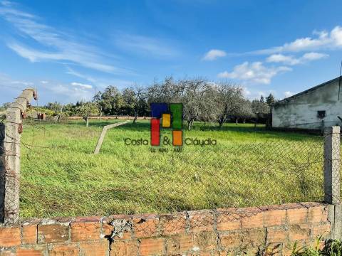 Terreno Urbano  Venda em Mira,Mira