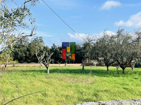 Terreno Urbano  Venda em Mira,Mira