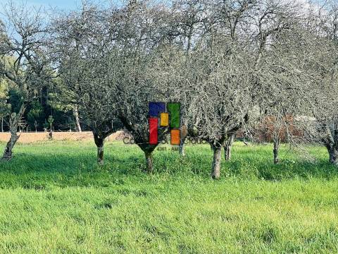 Terreno Urbano  Venda em Mira,Mira