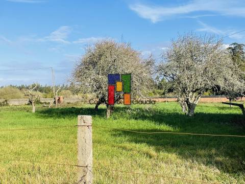 Terreno Urbano  Venda em Mira,Mira