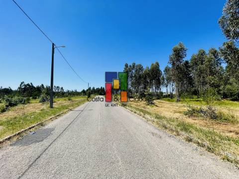 Terreno Para Construção  Venda em Mira,Mira