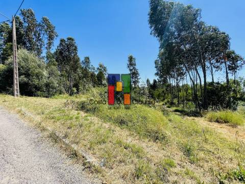 Terreno Para Construção  Venda em Mira,Mira