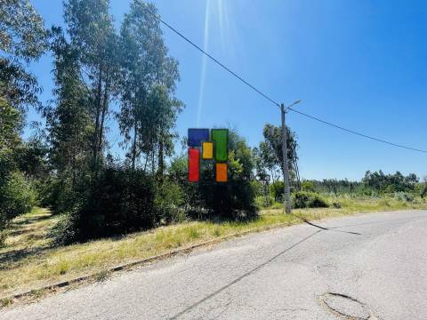 Terreno Para Construção  Venda em Mira,Mira