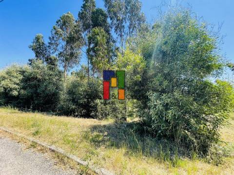 Terreno Para Construção  Venda em Mira,Mira