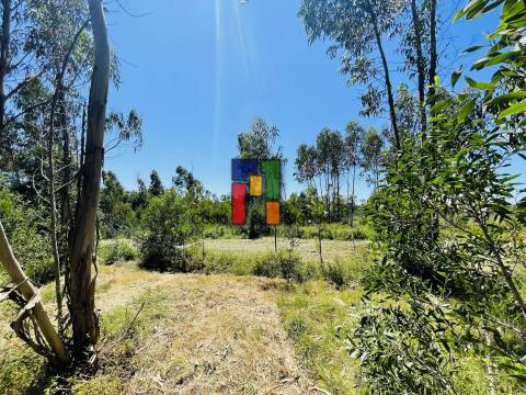 Terreno Para Construção  Venda em Mira,Mira