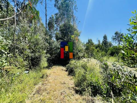 Terreno Para Construção  Venda em Mira,Mira