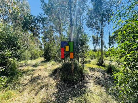 Terreno Para Construção  Venda em Mira,Mira