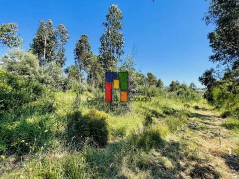 Terreno Para Construção  Venda em Mira,Mira
