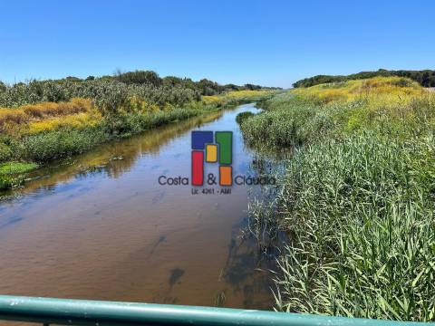 Terreno Urbano  Venda em Praia de Mira,Mira