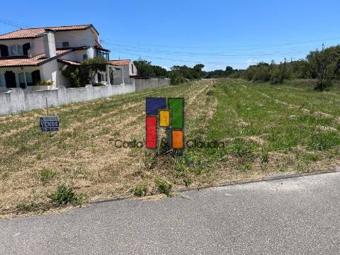Terreno Urbano  Venda em Praia de Mira,Mira