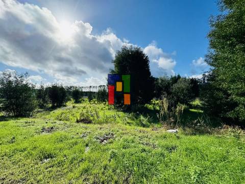 Terreno Urbano  Venda em Mira,Mira
