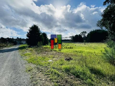 Terreno Urbano  Venda em Mira,Mira