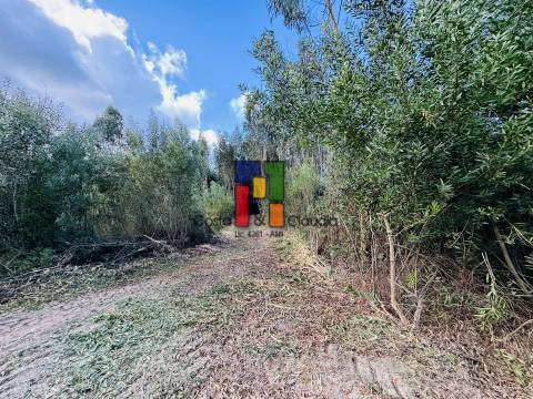 Terreno Urbano  Venda em Mira,Mira