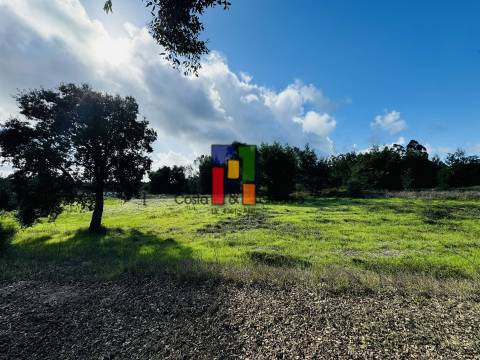 Terreno Urbano  Venda em Mira,Mira
