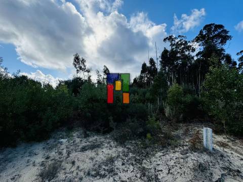 Terreno Urbano  Venda em Mira,Mira