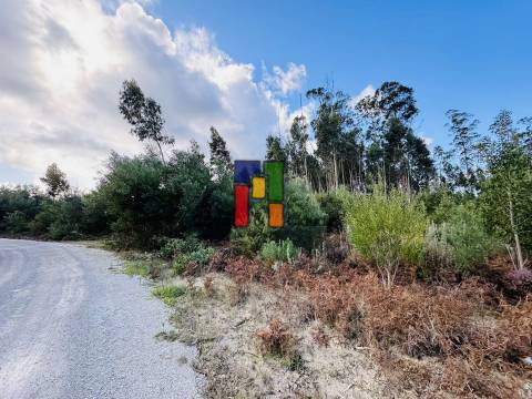 Terreno Urbano  Venda em Mira,Mira