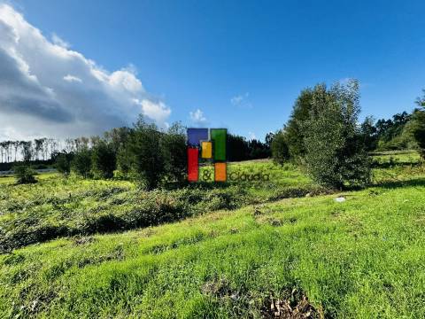 Terreno Urbano  Venda em Mira,Mira