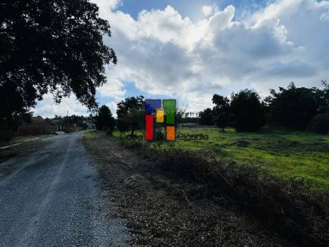Terreno Urbano  Venda em Mira,Mira