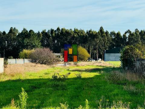 Terreno Urbano  Venda em Calvão,Vagos