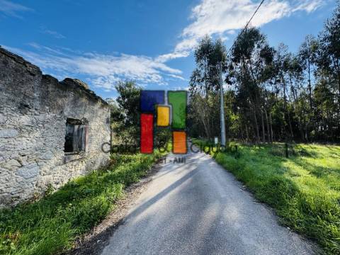 Terreno Urbano  Venda em Tocha,Cantanhede