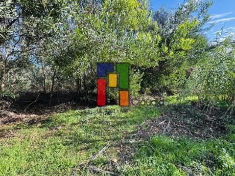 Terreno Urbano  Venda em Tocha,Cantanhede