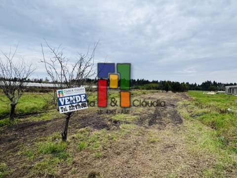 Terreno Para Construção  Venda em Ponte de Vagos e Santa Catarina,Vagos