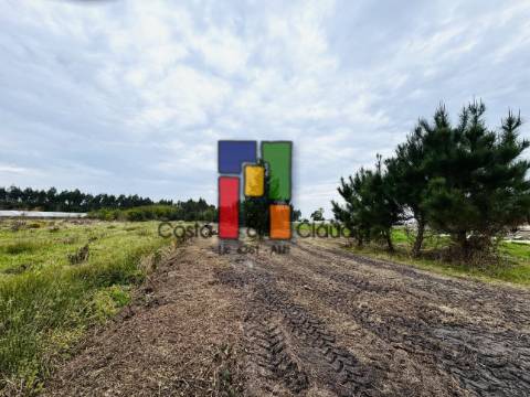 Terreno Para Construção  Venda em Ponte de Vagos e Santa Catarina,Vagos