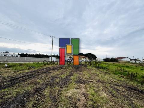 Terreno Para Construção  Venda em Ponte de Vagos e Santa Catarina,Vagos