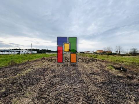 Terreno Para Construção  Venda em Ponte de Vagos e Santa Catarina,Vagos