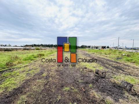 Terreno Para Construção  Venda em Ponte de Vagos e Santa Catarina,Vagos