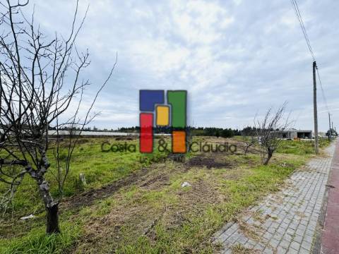 Terreno Para Construção  Venda em Ponte de Vagos e Santa Catarina,Vagos