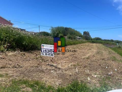Terreno Urbano  Venda em Praia de Mira,Mira