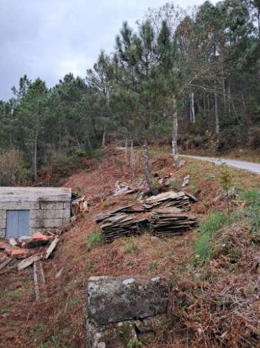 Moradia Isolada T2 Venda em Manhouce,São Pedro do Sul