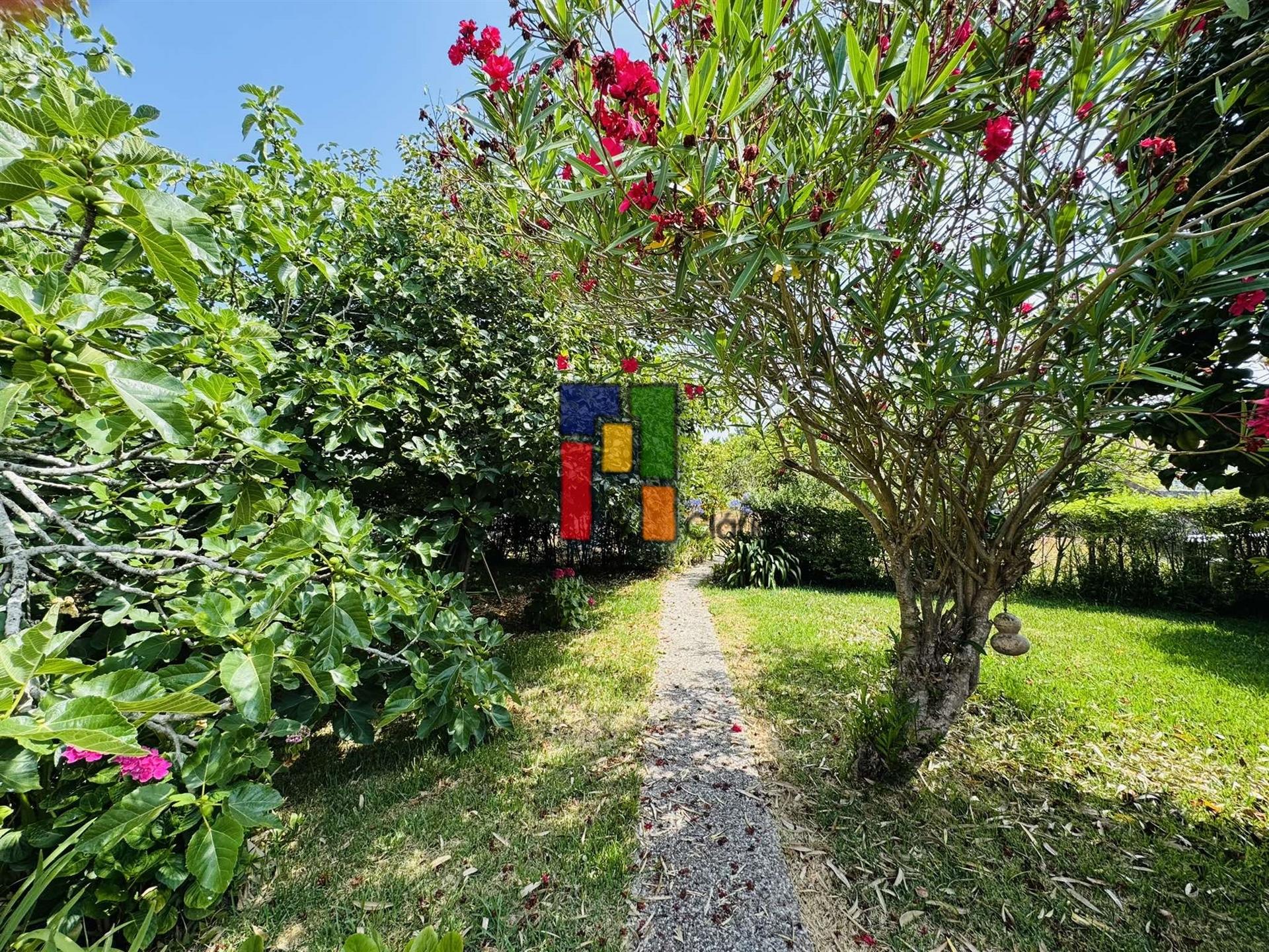 Moradia Isolada T3+1 Venda em Mira,Mira