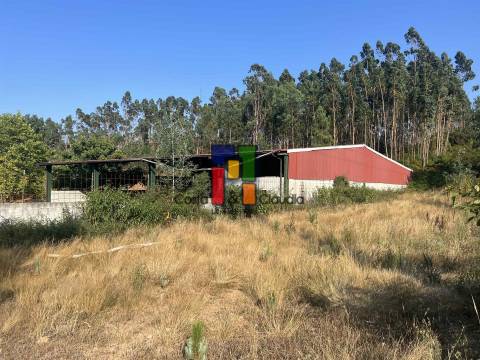 Terreno Rústico  Venda em Caparrosa e Silvares,Tondela