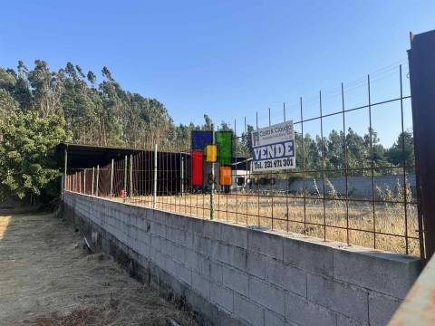 Terreno Rústico  Venda em Caparrosa e Silvares,Tondela