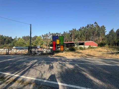 Terreno Rústico  Venda em Caparrosa e Silvares,Tondela