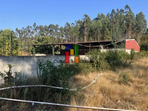 Terreno Rústico  Venda em Caparrosa e Silvares,Tondela