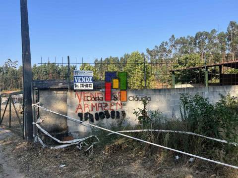 Terreno Rústico  Venda em Caparrosa e Silvares,Tondela