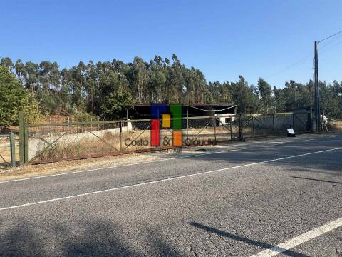Terreno Rústico  Venda em Caparrosa e Silvares,Tondela