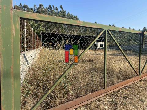 Terreno Rústico  Venda em Caparrosa e Silvares,Tondela