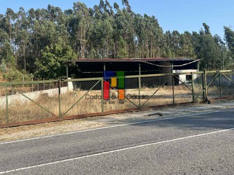 Terreno Rústico  Venda em Caparrosa e Silvares,Tondela