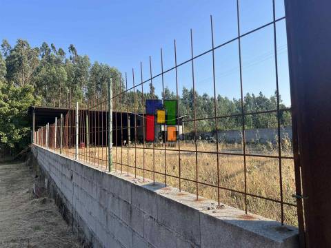 Terreno Rústico  Venda em Caparrosa e Silvares,Tondela