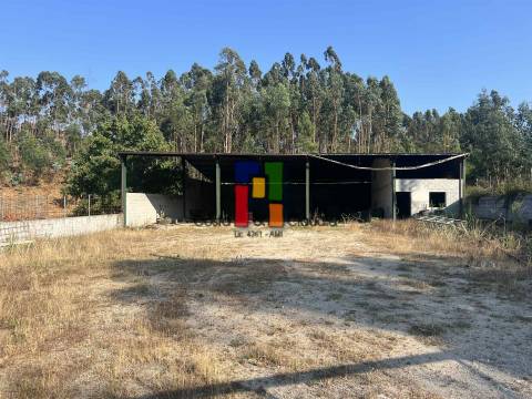 Terreno Rústico  Venda em Caparrosa e Silvares,Tondela