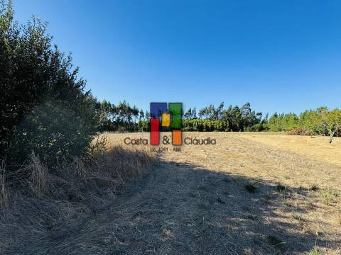 Terreno Urbano  Venda em Mira,Mira