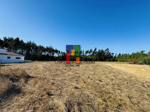 Terreno Urbano  Venda em Mira,Mira