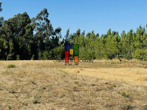 Terreno Urbano  Venda em Mira,Mira